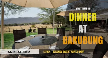 Dinner Time at Bakubung: When to Enjoy Your Evening Meal