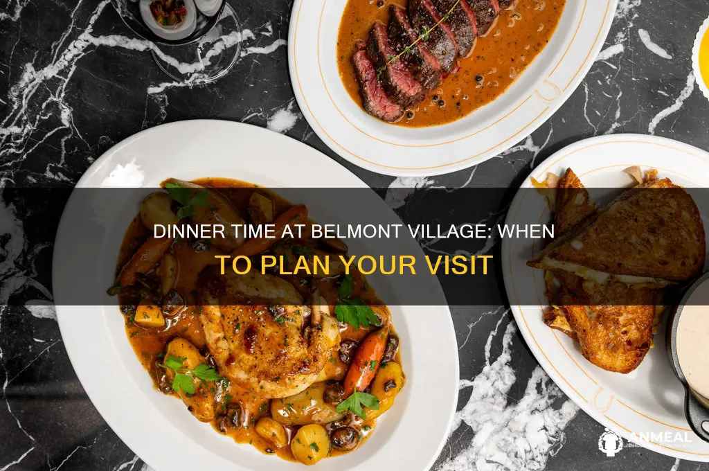 what time is dinner at belmont village