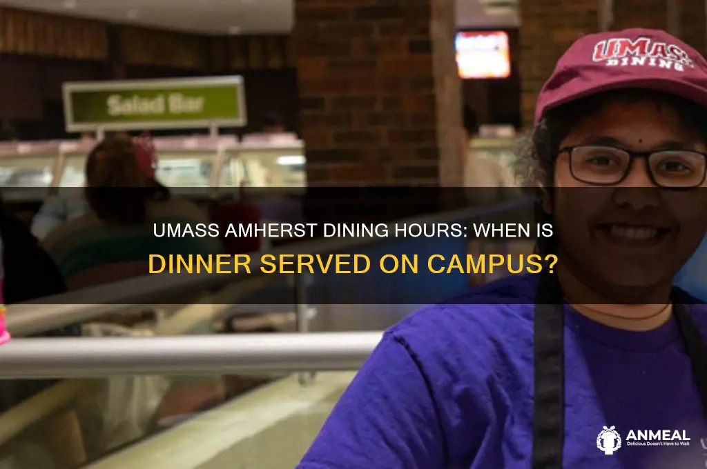 what time is dinner at umass amherst