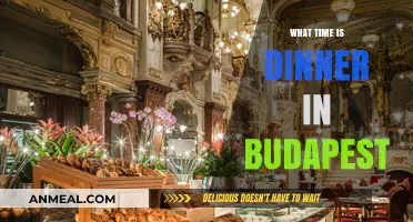 Dining in Budapest: Ideal Time for Dinner in Hungary's Capital