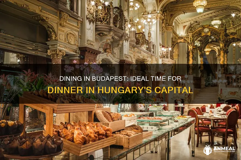 what time is dinner in budapest