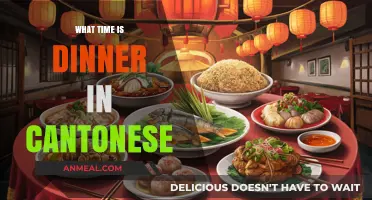 Cantonese Dinner Time: When to Enjoy Your Evening Meal
