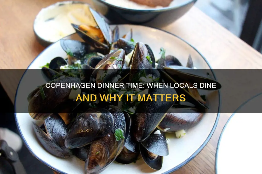 what time is dinner in copenhagen