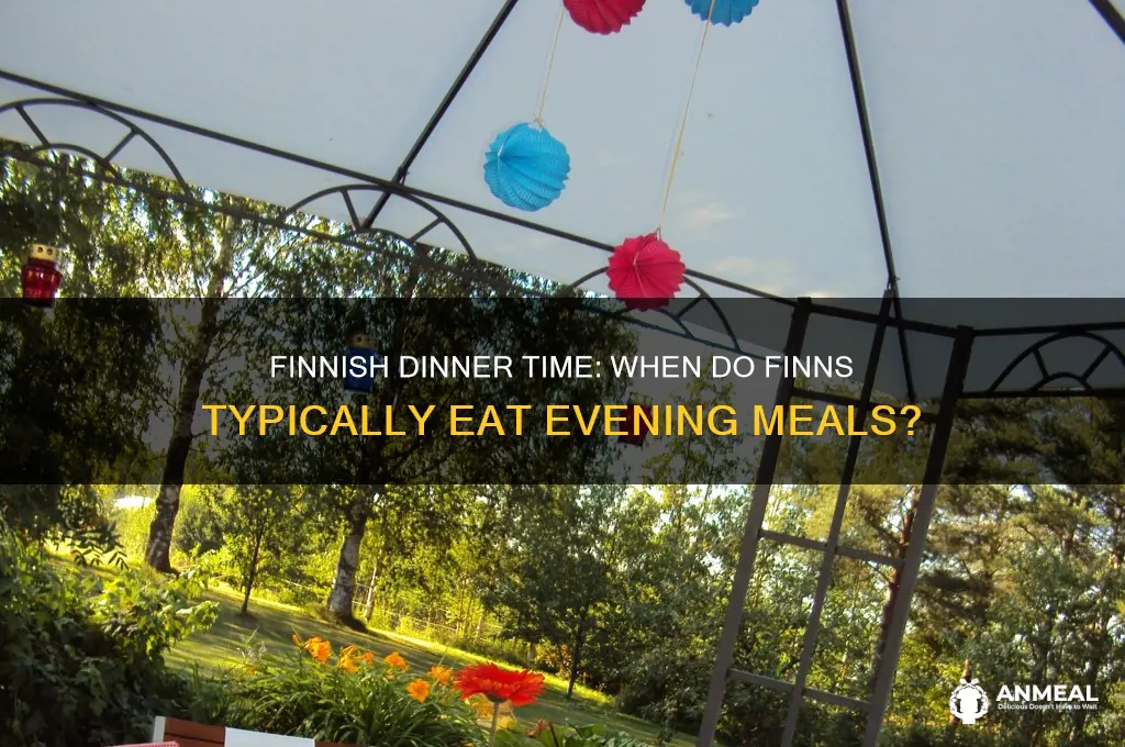 what time is dinner in finland