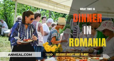 Dinner Time in Romania: Exploring Traditional Meal Schedules and Culture