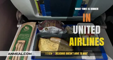 United Airlines Dinner Time: When to Expect Your In-Flight Meal