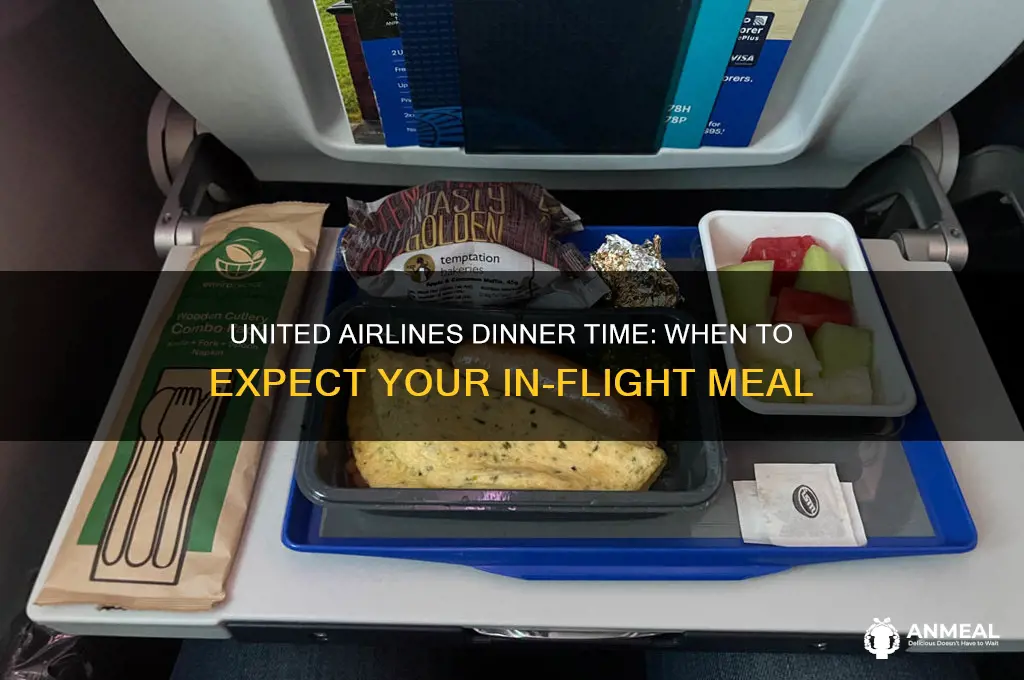 what time is dinner in united airlines