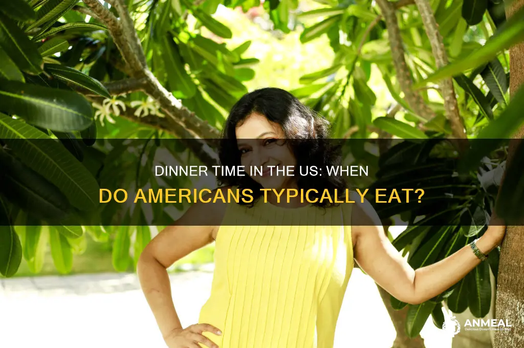 what time is dinner in us