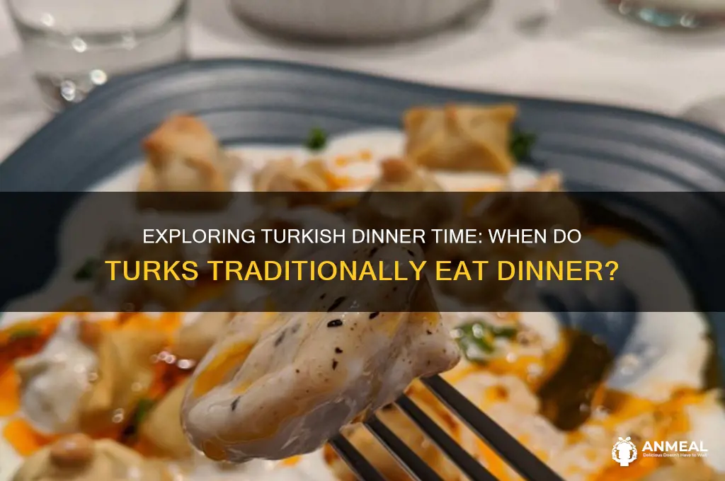 what time is dinner time in turkish