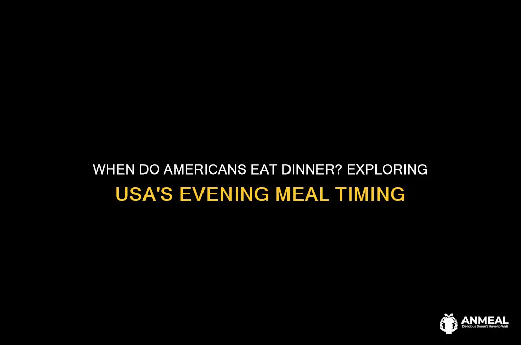 what time is dinner time in usa