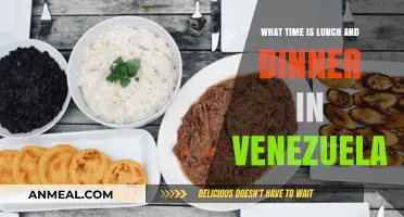 Venezuela's Meal Times: When to Enjoy Lunch and Dinner