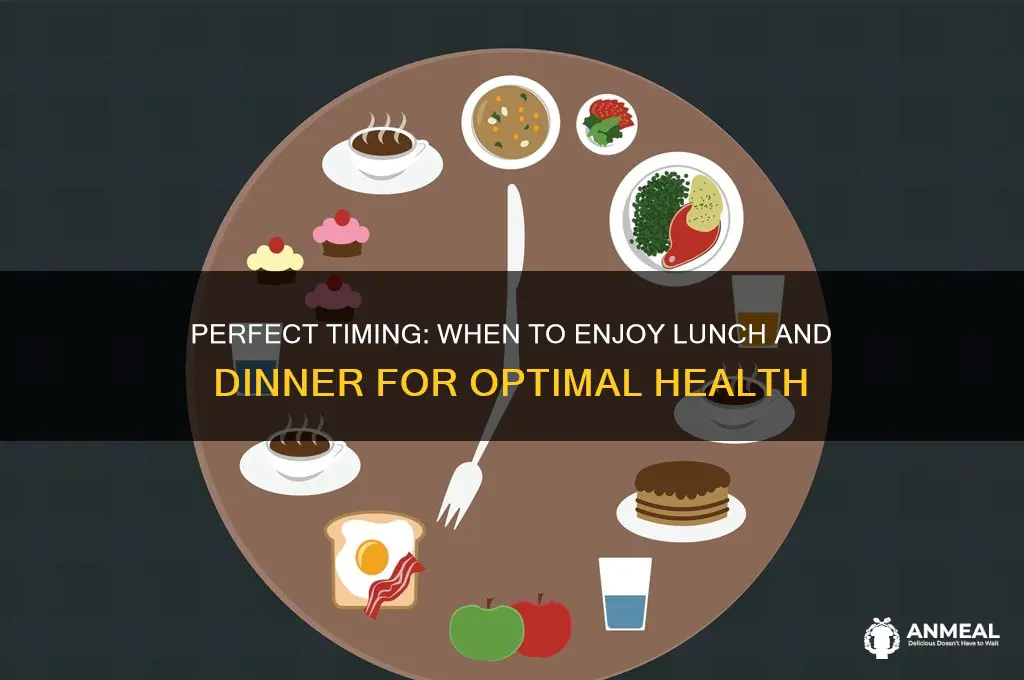 what time is lunch and dinner
