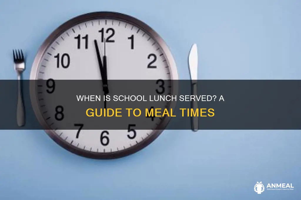 what time is school dinner