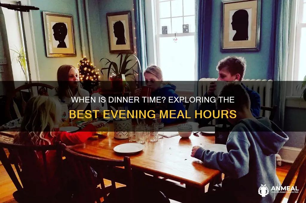 what time of the day is dinner
