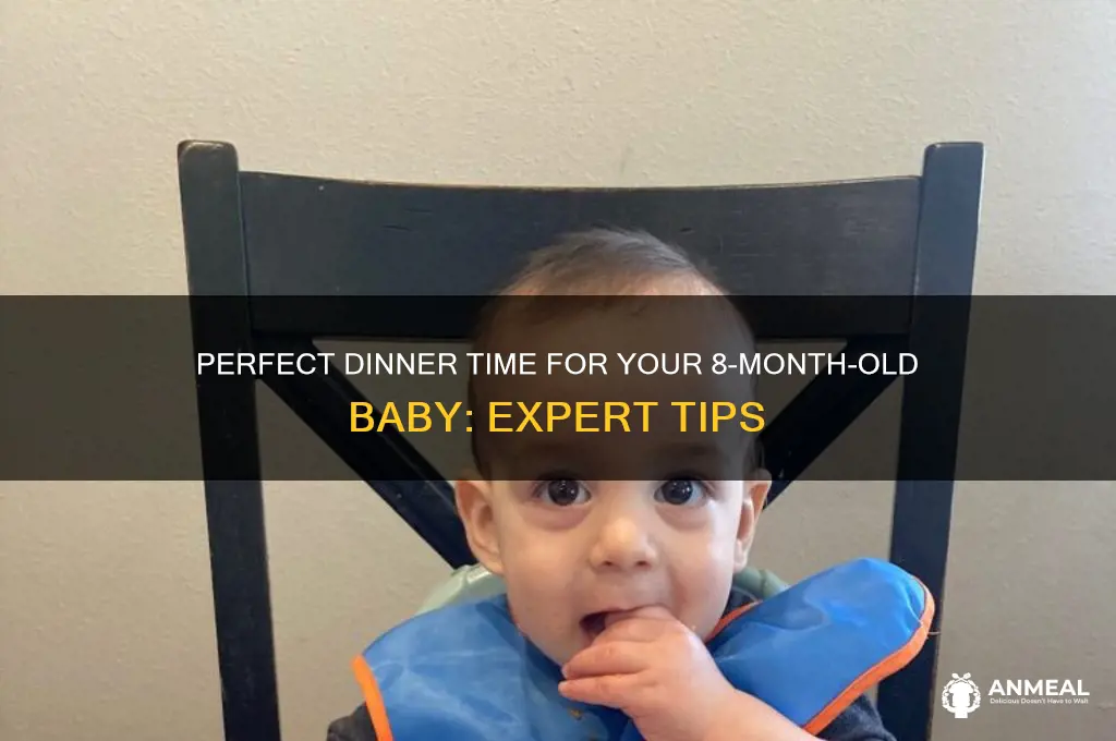 what time should 8 month old have dinner