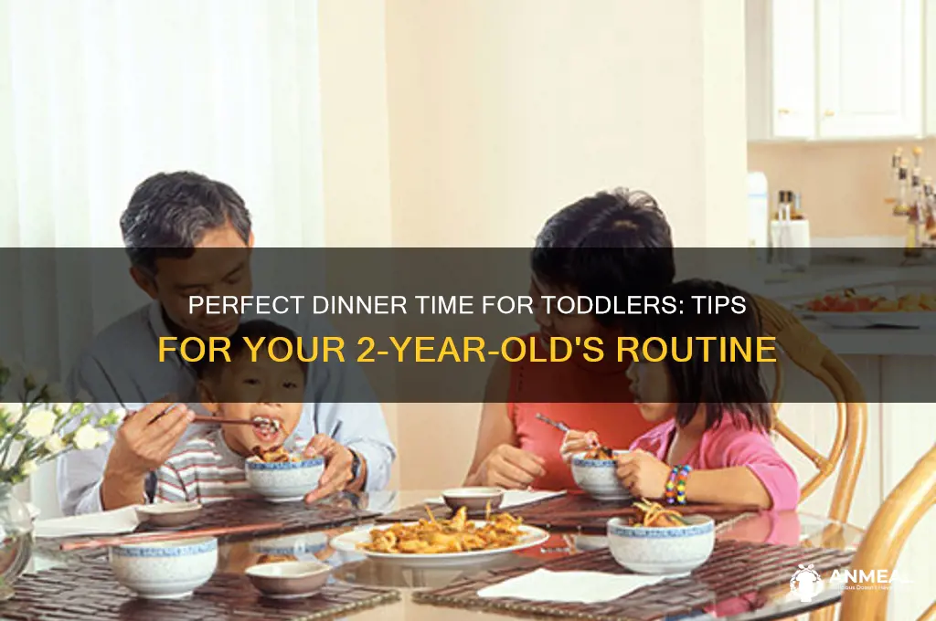 what time should a 2 year old have dinner