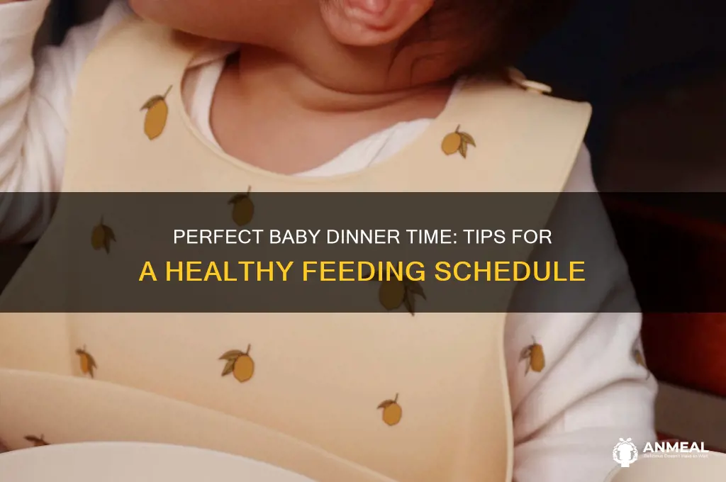 what time should a baby have dinner