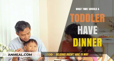 Perfect Toddler Dinner Time: Tips for a Healthy Evening Routine
