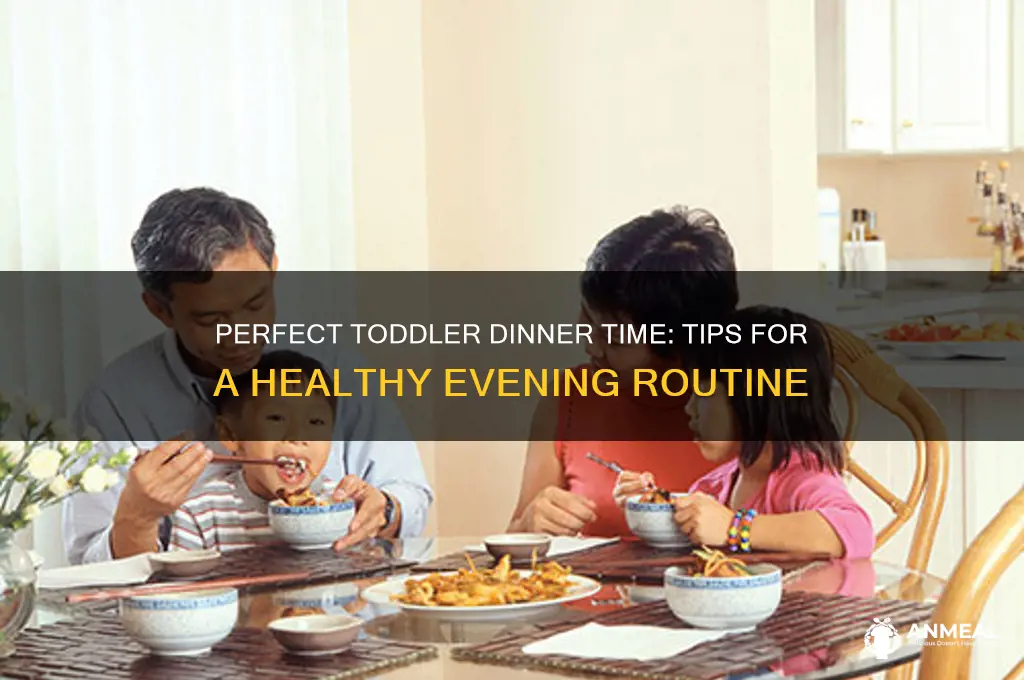 what time should a toddler have dinner