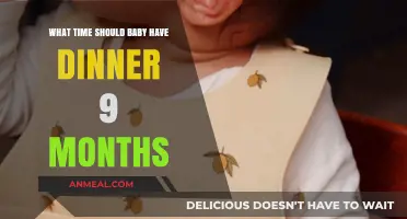 Perfect Timing for Baby’s Dinner at 9 Months: Expert Tips