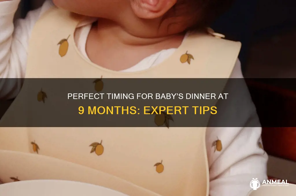 what time should baby have dinner 9 months