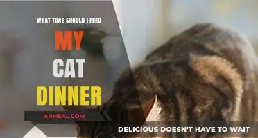 Purr-fect Timing: When to Serve Your Cat's Evening Meal
