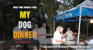 Best Time to Feed Your Dog Dinner: Expert Tips for Optimal Health