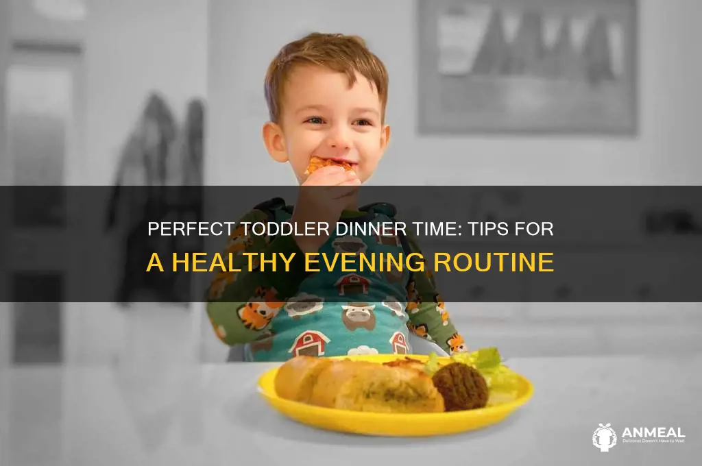 what time should toddler have dinner