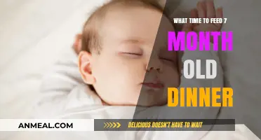 Perfect Timing for Baby’s Dinner: Feeding Your 7-Month-Old