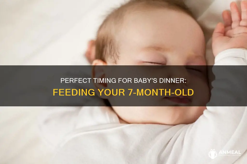 what time to feed 7 month old dinner