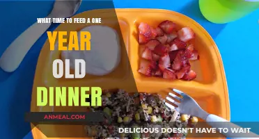 Perfect Timing: When to Serve Your One-Year-Old’s Dinner