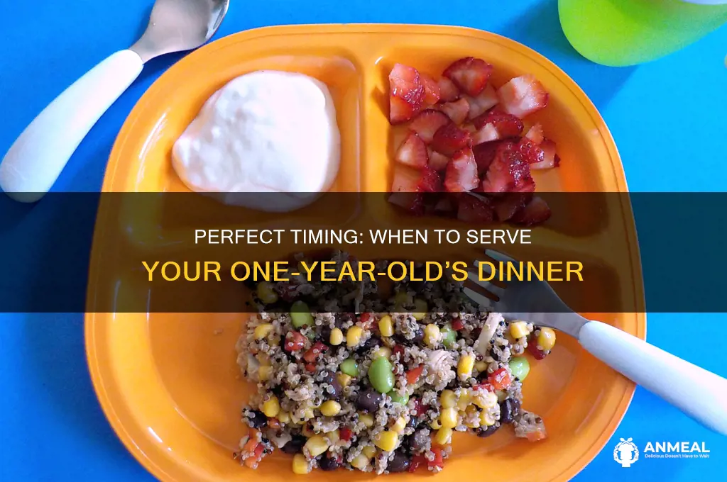 what time to feed a one year old dinner