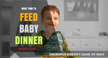 Perfect Timing for Baby Dinner: Tips for Feeding Your Little One