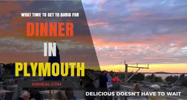 Perfect Timing for Dinner at Bario in Plymouth: When to Arrive