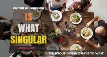 What Time Will Dinner Begin? Singular Focus on the Hour