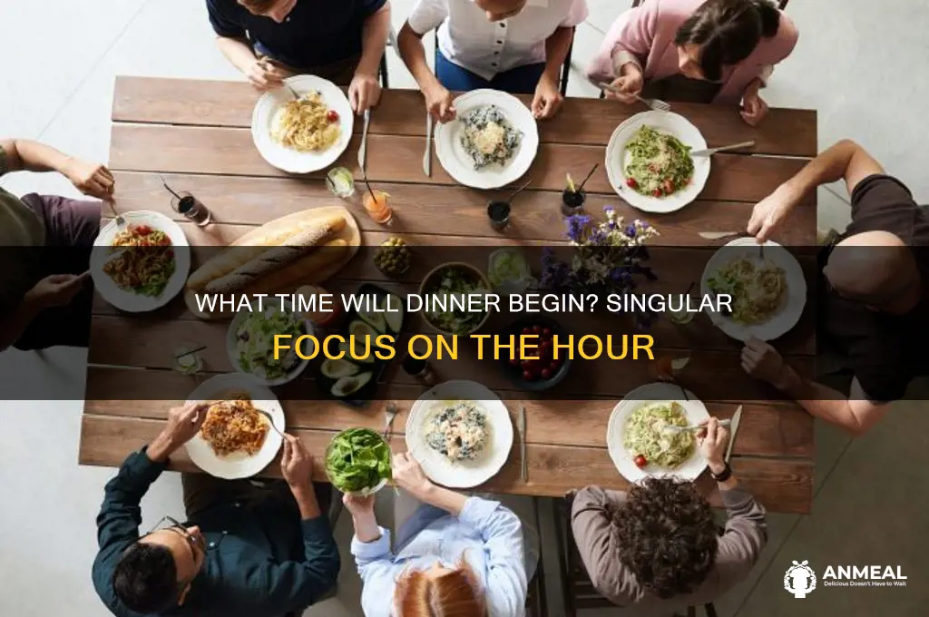 what time will dinner begin is what singular
