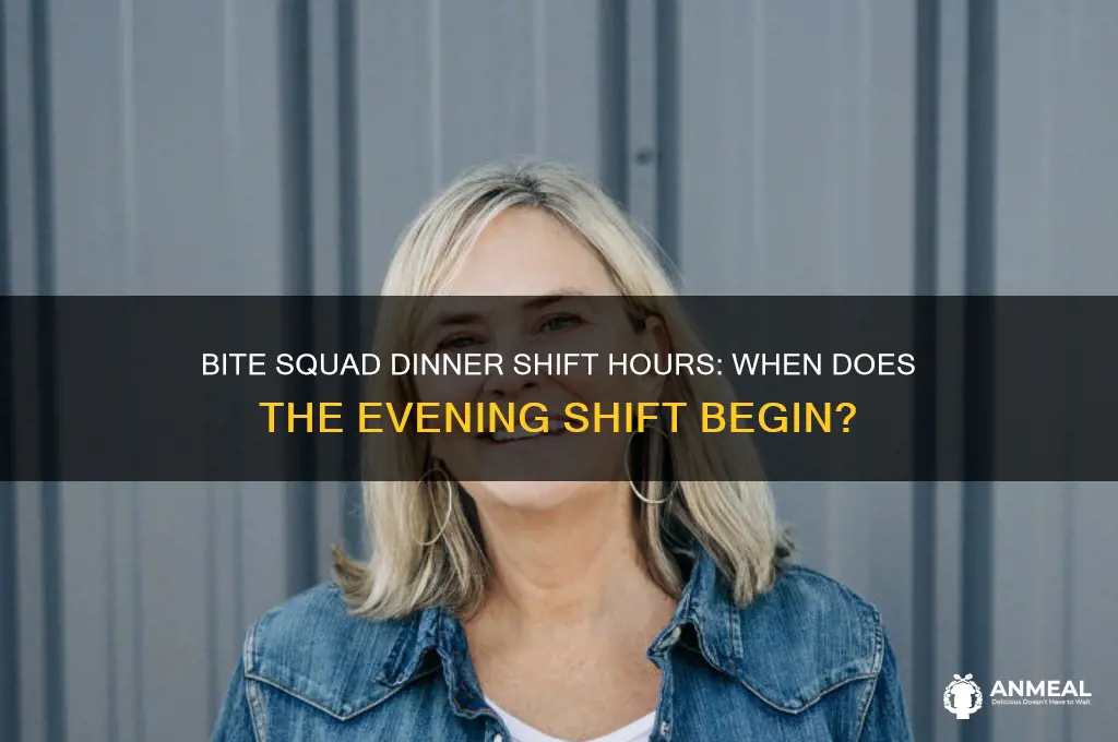 what timeis the dinner shift at bite squad