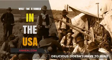 Dinner Time in the USA: Exploring American Evening Meal Traditions