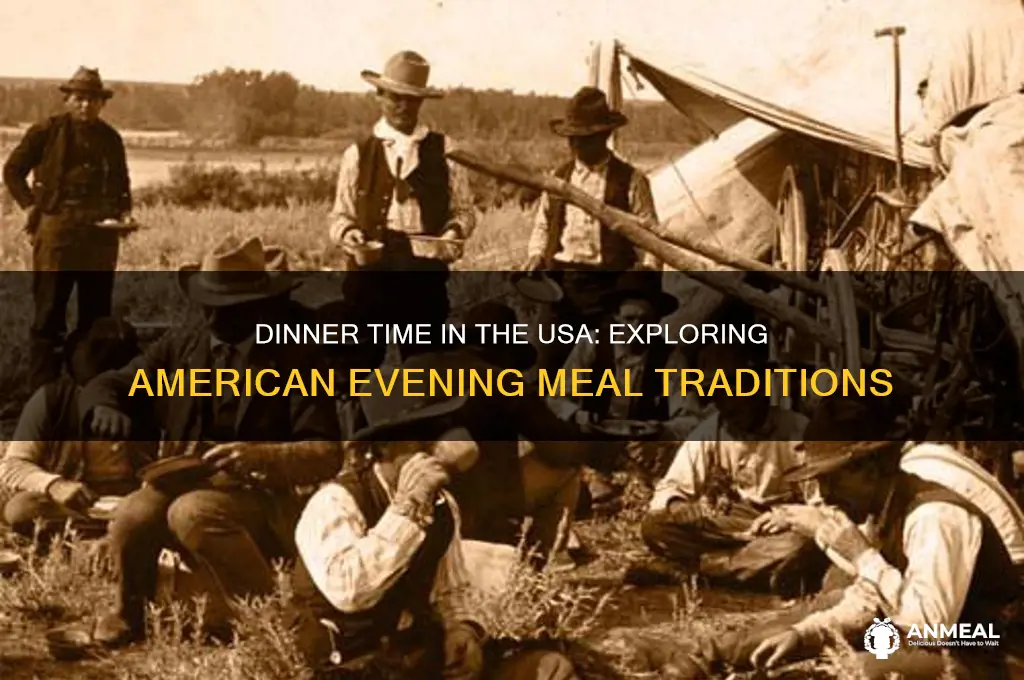 what tine is dinner in the usa