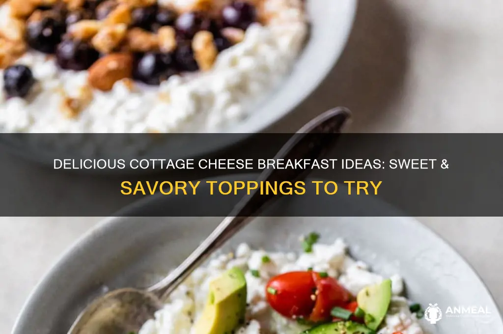 what to add to cottage cheese for breakfast