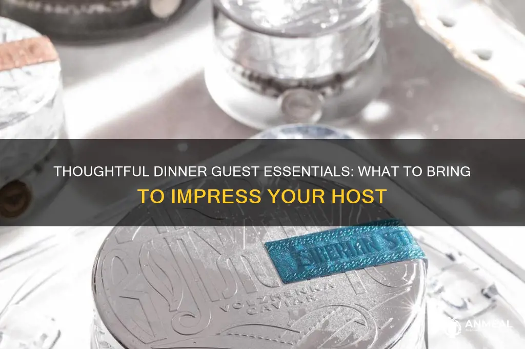 what to bring as dinner guest