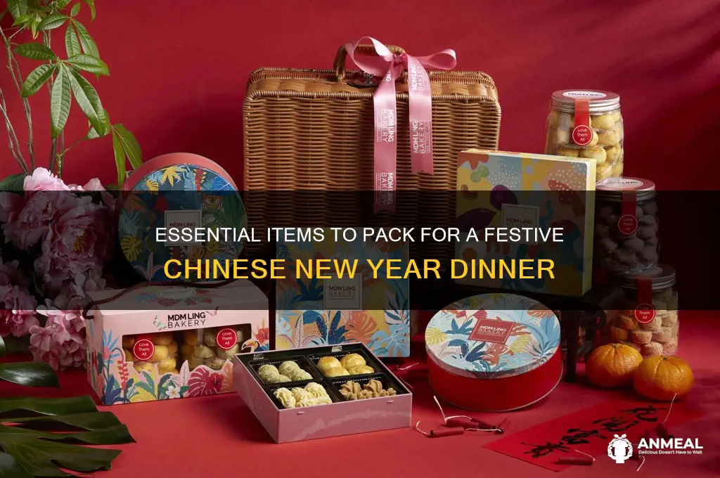 what to bring chinese new year dinner