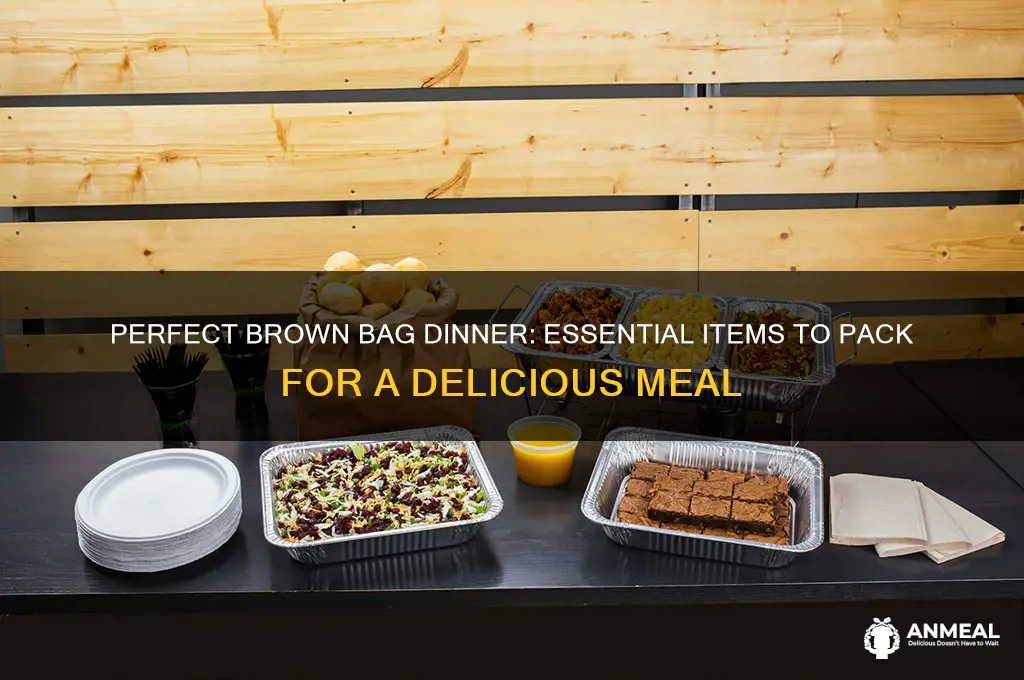 what to bring dinner brown bag