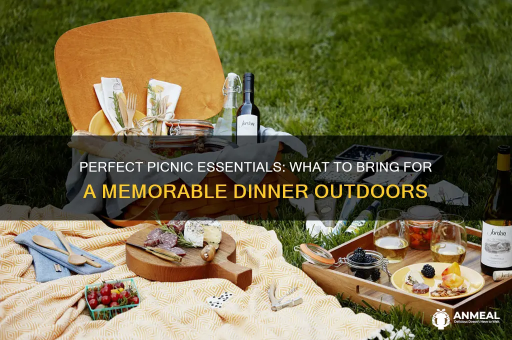 what to bring dinner picnic