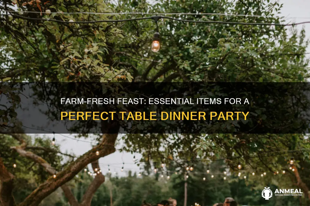what to bring for a farm to table dinner party