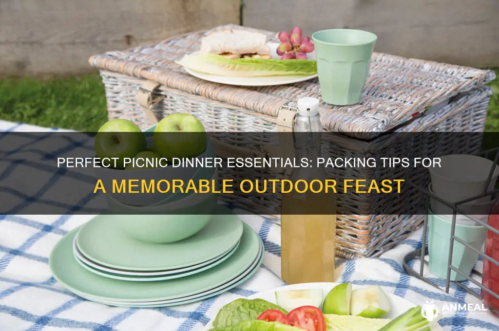 what to bring for a picnic dinner