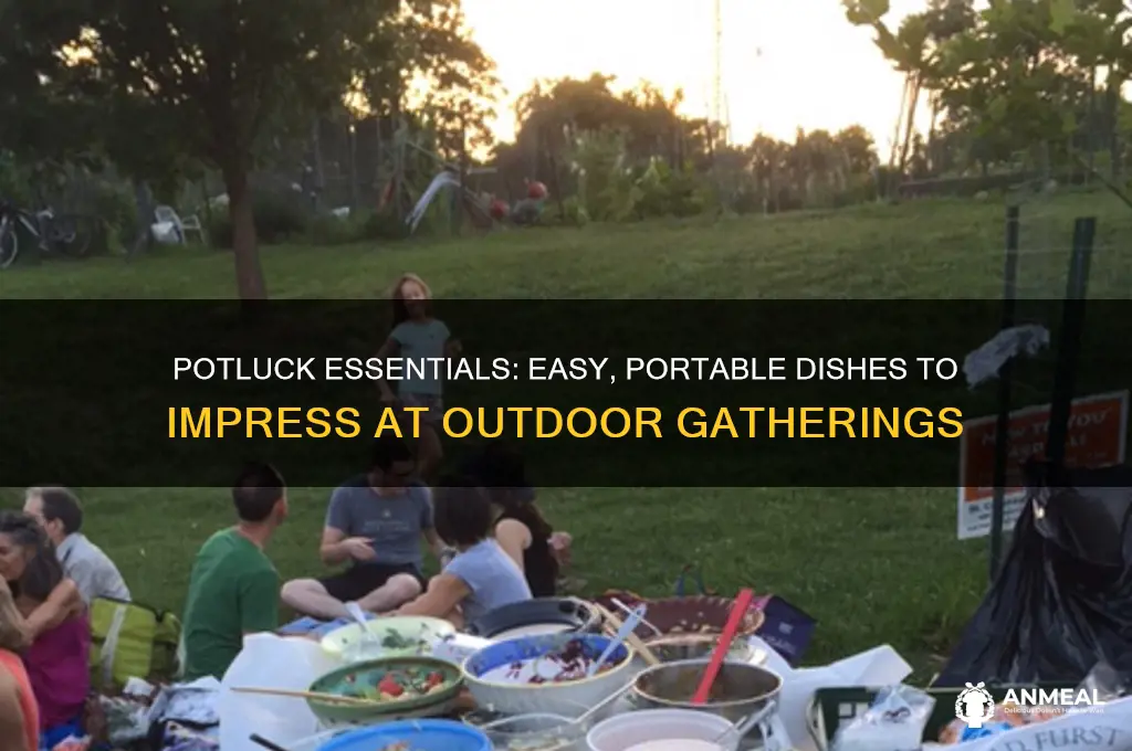 what to bring for pot-luck dinner outside