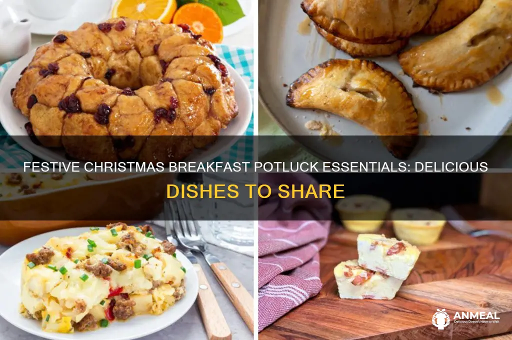 what to bring to a christmas breakfast potluck