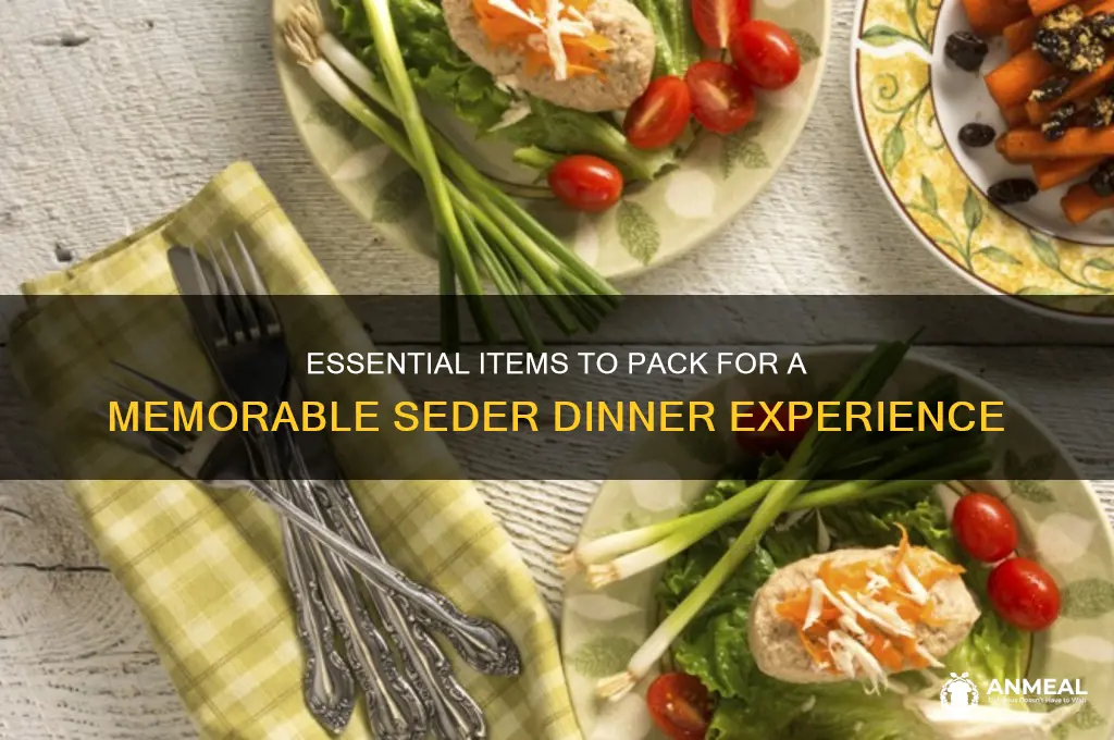 what to bring to a seder dinner