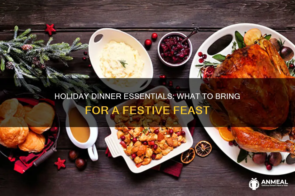 what to bring to holiday dinner